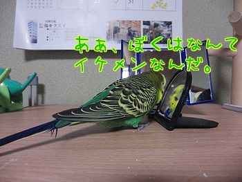 f0196665_0453634.jpg