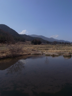 c0166668_904675.jpg