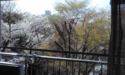 f0140174_23504832.jpg