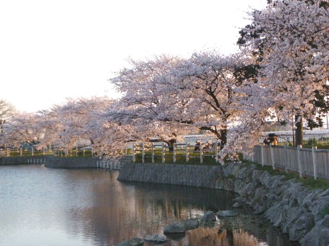 b0004675_1541453.jpg