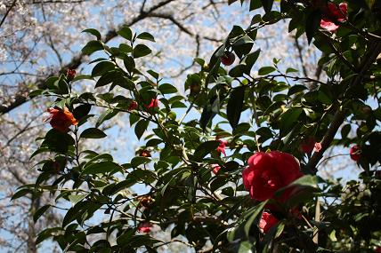 c0174077_10301339.jpg