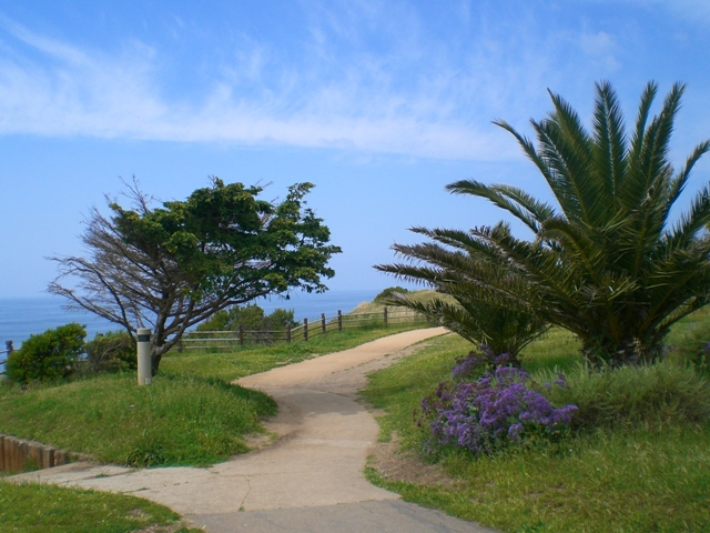 c0187677_1101541.jpg