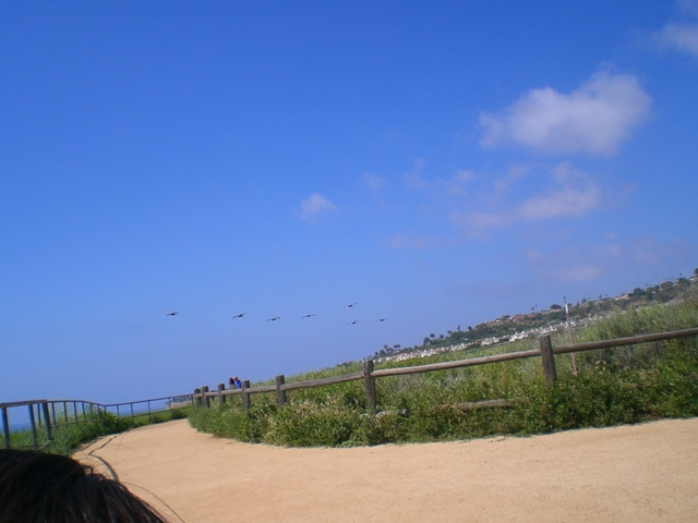 c0187677_111066.jpg