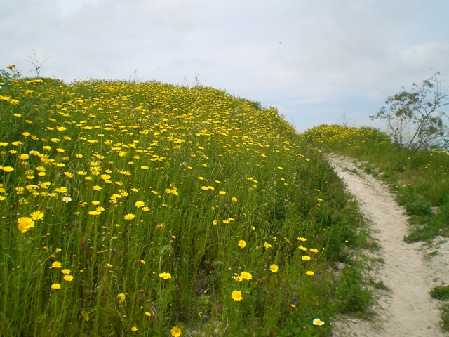 c0187677_153481.jpg