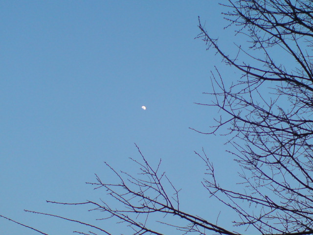 d0182179_19105474.jpg