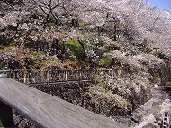 a0142083_20441924.jpg