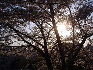 a0142083_20445774.jpg