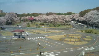 e0130185_2327164.jpg