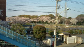 e0130185_23281217.jpg