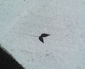 c0014187_20233740.jpg