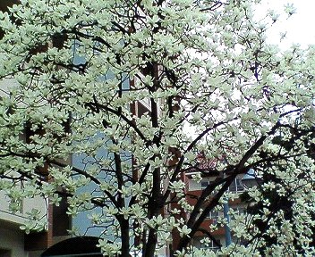 c0014187_20311639.jpg