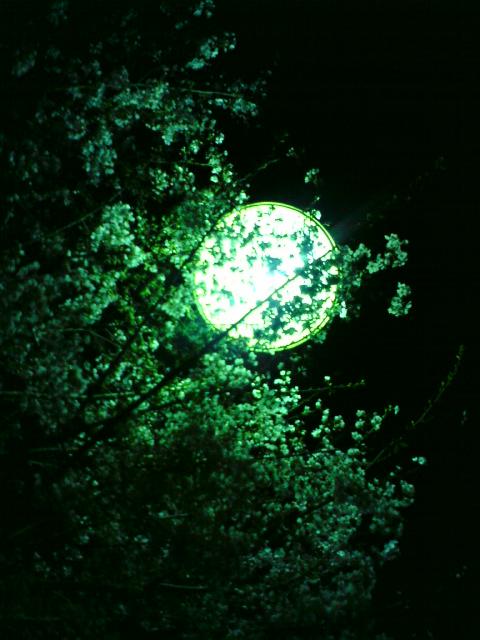 c0122788_3401819.jpg