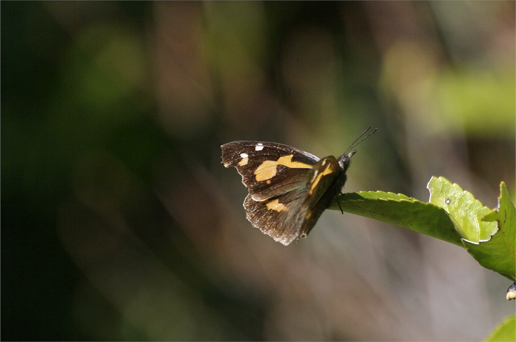 d0209988_18414476.jpg