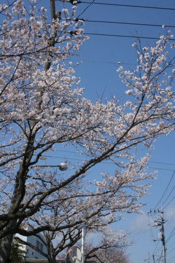 f0105592_2211048.jpg