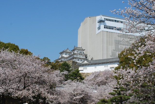 f0213292_17454023.jpg