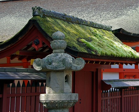 d0179594_2251130.jpg
