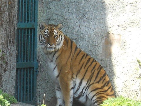 a0058195_21481764.jpg