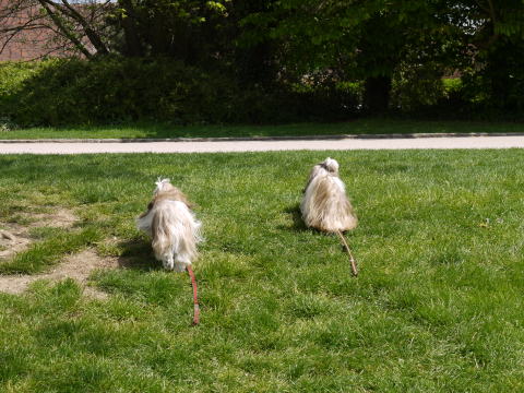c0090198_7283015.jpg