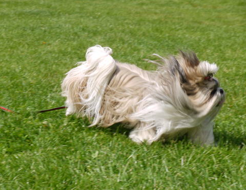 c0090198_732470.jpg