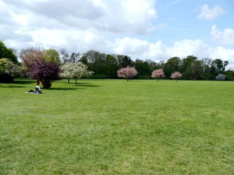 c0090198_7341166.jpg