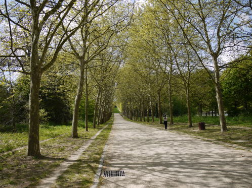 c0090198_7363959.jpg