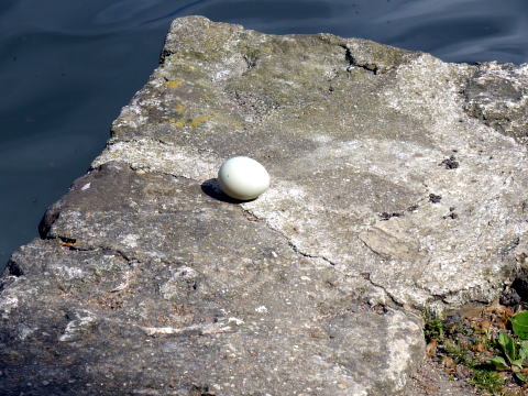 c0090198_7432183.jpg