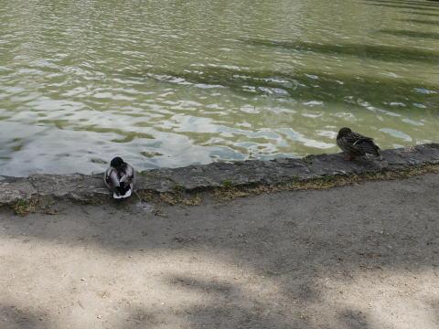 c0090198_7434112.jpg