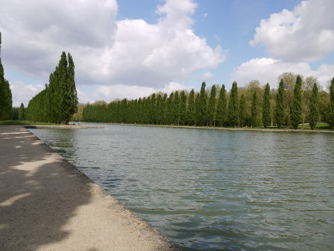 c0090198_745313.jpg