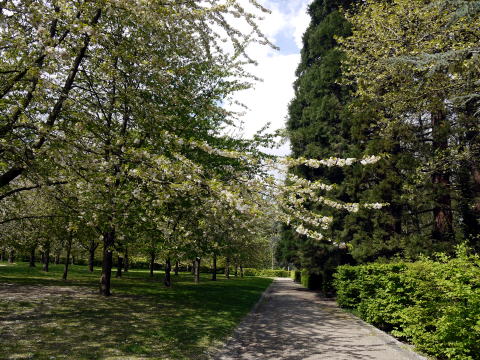 c0090198_7455879.jpg