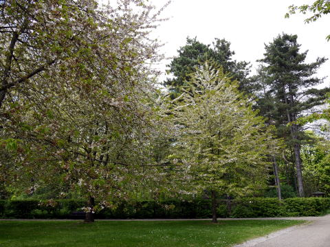 c0090198_7471585.jpg