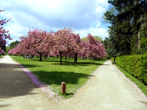 c0090198_7485775.jpg