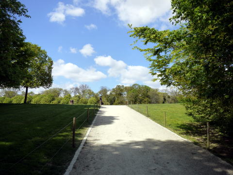 c0090198_754201.jpg