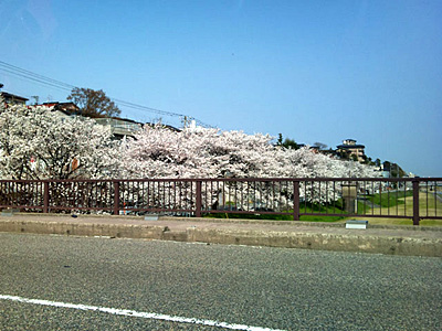 f0061401_9541645.jpg