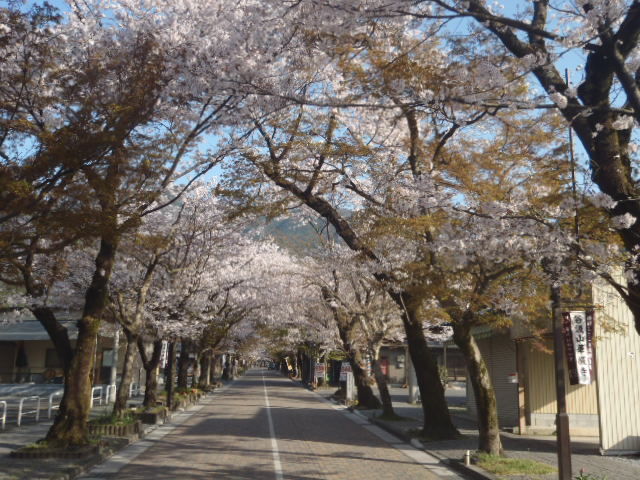 a0121502_14593061.jpg