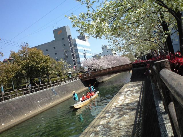 a0121502_1543450.jpg