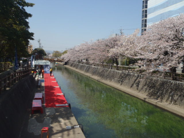a0121502_1572918.jpg
