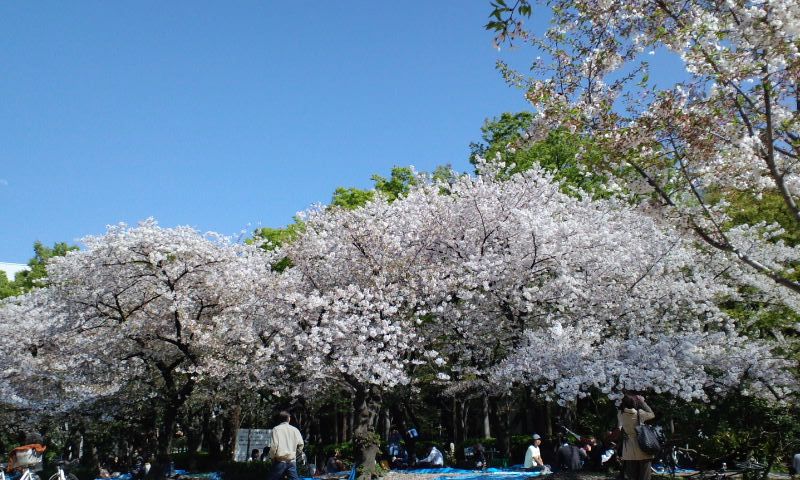 e0129107_23234982.jpg