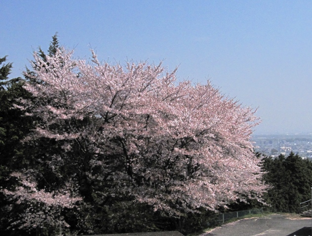 e0146907_20215087.jpg