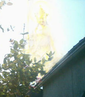 e0103408_0224625.jpg