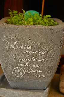 e0128909_18275867.jpg