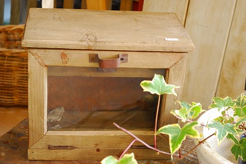 e0128909_18313934.jpg