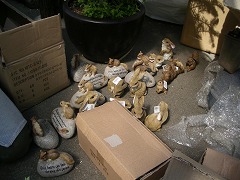 c0190010_20143455.jpg