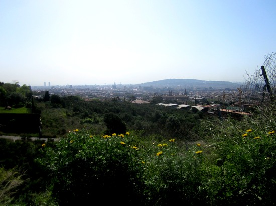 b0064411_7524190.jpg