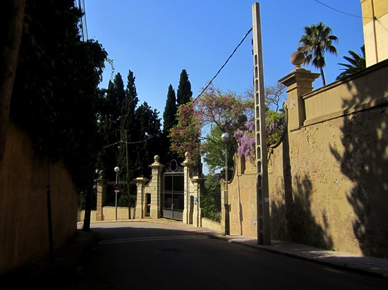 b0064411_7564859.jpg