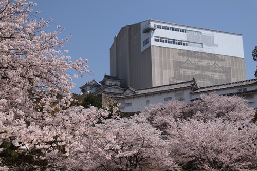 a0182113_22141014.jpg