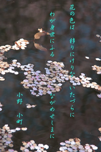 a0182113_22263658.jpg