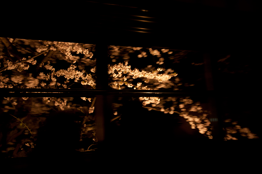 a0140914_0243599.jpg