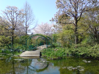 e0135518_16101797.jpg