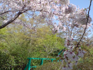 e0135518_16104277.jpg