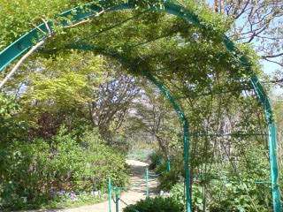 e0135518_16195749.jpg